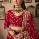 Afrozeh Luxury Velvet Collection D 02 DUR-E-FISHAAN