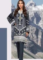 Alkaram Printed Viscose Suit Unstitched 2 Piece FW-34.1 Black - Winter Collection