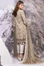 Alkaram Printed Viscose Suit Unstitched 2 Pcs FW-38.1 Beige - Image 4