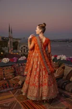 Embroidered Net Suit D 09 Atesh
