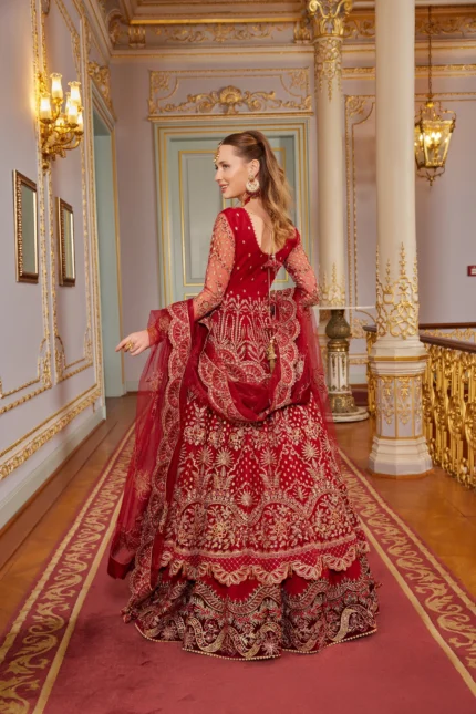 Embroidered Net Suit D 05 Enara