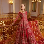 Embroidered Net Suit D 05 Enara