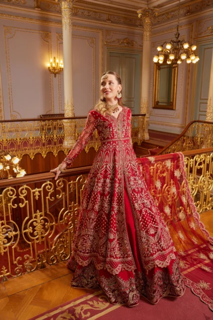 Embroidered Net Suit D 05 Enara