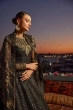 Embroidered Net 3 Pcs Suit  D 10 JAWEDAN - Image 9