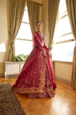 Embroidered Net Suit D 01 Tabeer