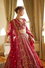 Embroidered Net 3 Pcs Suit  D 01 Tabeer - Image 5
