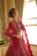 Embroidered Net 3 Pcs Suit  D 01 Tabeer - Image 4
