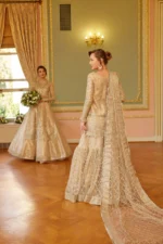 Embroidered Net 3 Pcs Suit  D 02 Shafaq - Image 11
