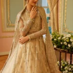 Embroidered Net Suit D 02 Shafaq