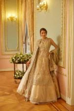 Embroidered Net Suit D 02 Shafaq