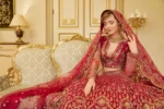 Embroidered Net Suit D 01 Tabeer
