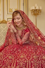 Embroidered Net 3 Pcs Suit  D 01 Tabeer - Image 16