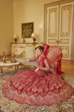 Embroidered Net 3 Pcs Suit  D 01 Tabeer - Image 12